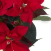 Regal PoinsettieNEW PRODUCT10 VASE CLOSEUP DETAILSPEONY RED WITHOUT WRAPPING 17