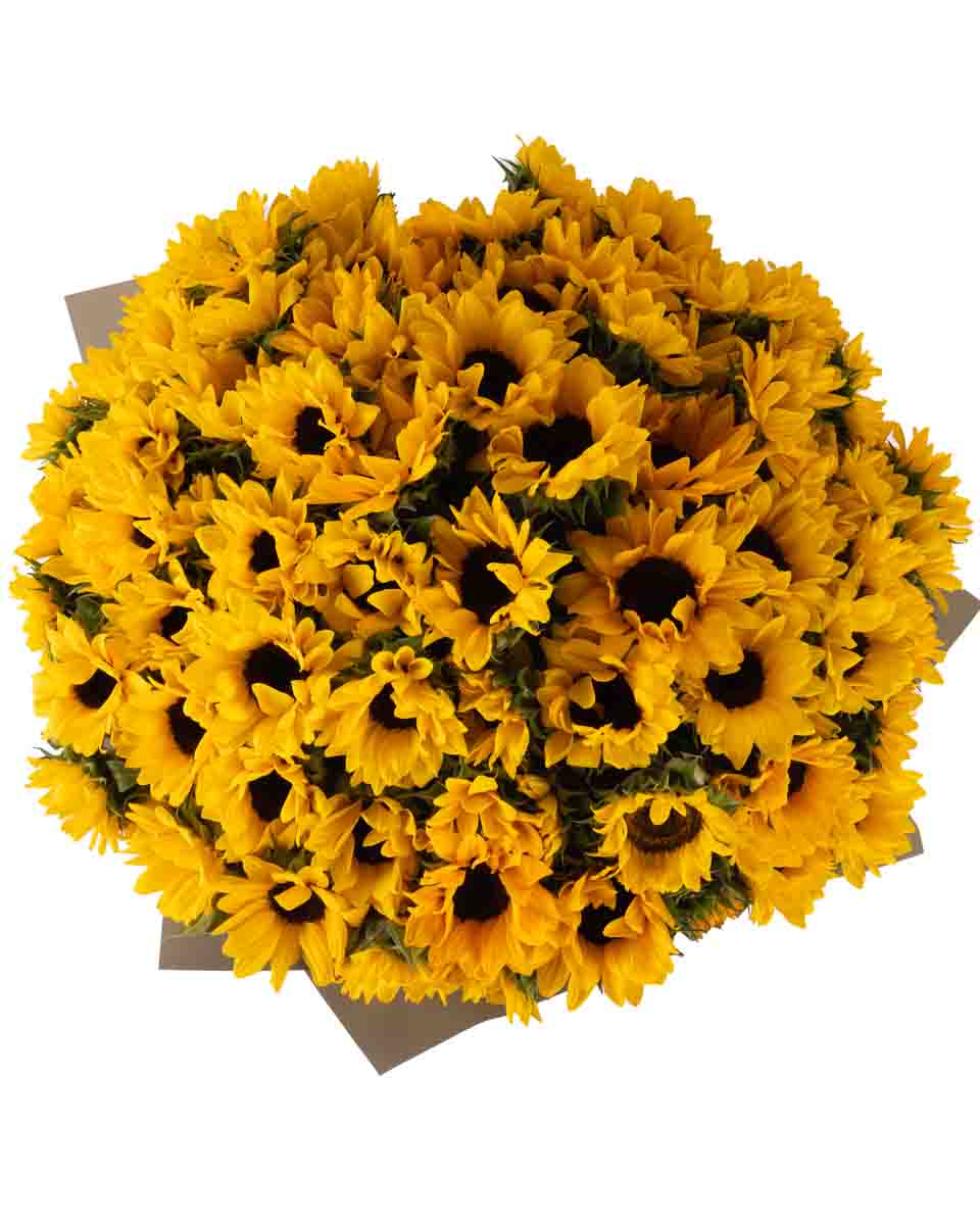 Mega Sunflower ONE SIZE ONLY JUNE 14, 2023 top