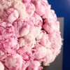 101 PEONIES one size 1 101 PEONIES one size 1