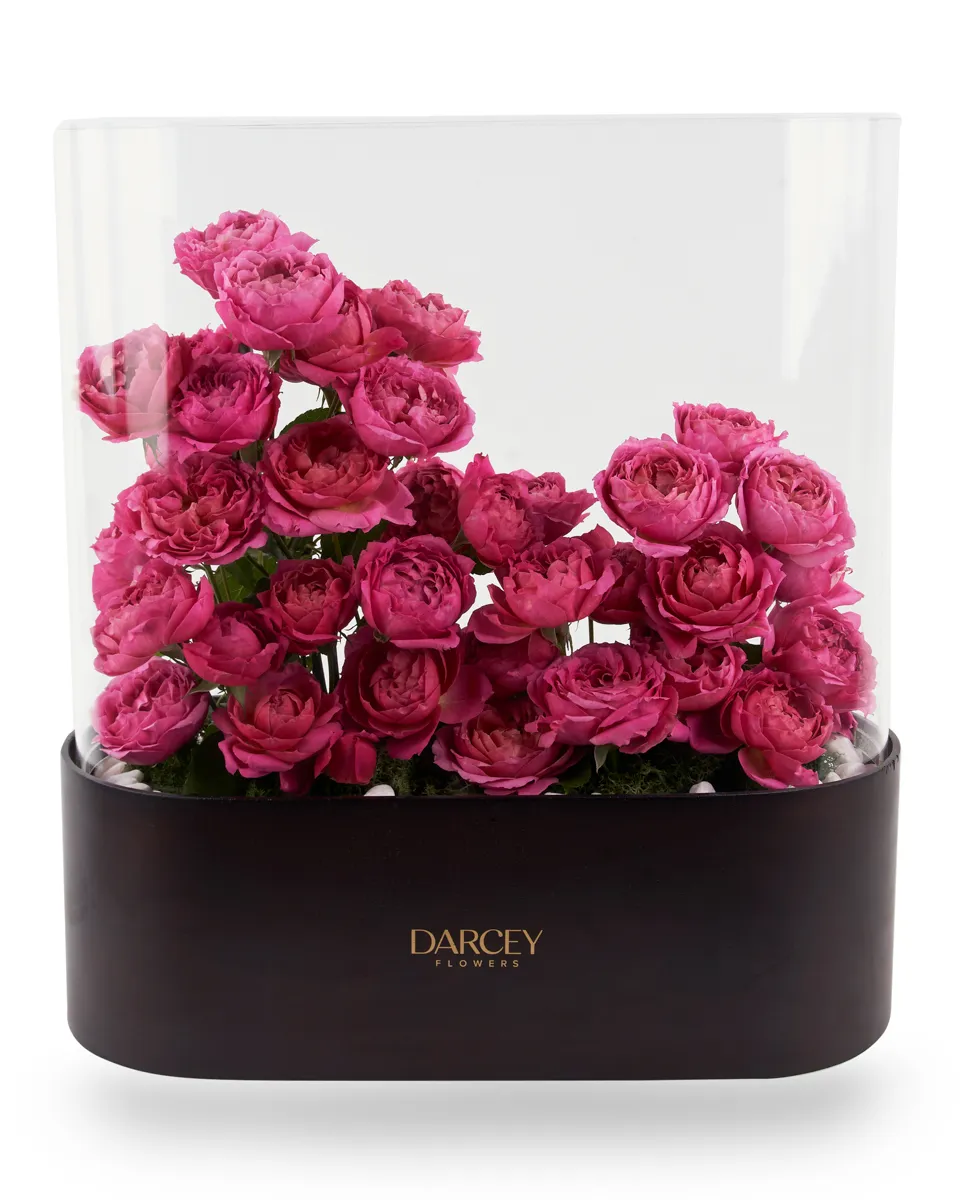 ACRYLIC BOX 13 ACRYLIC BOX 13