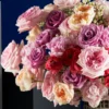 BEAUTY QUEEN Sied 2025 2 BEAUTY QUEEN Sied 2025 2