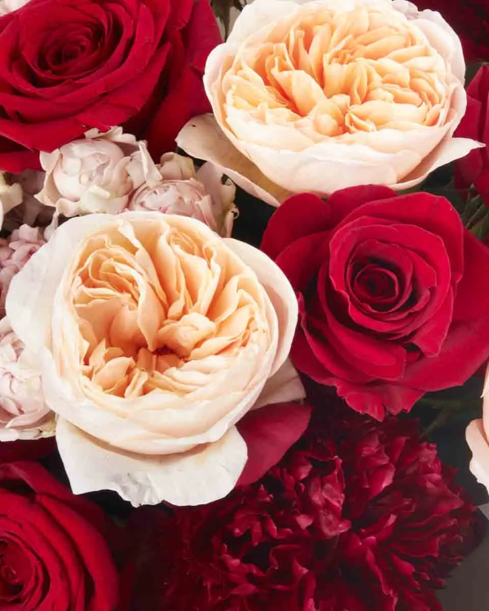 Baby It s You impressive JUNE 13 2023 1