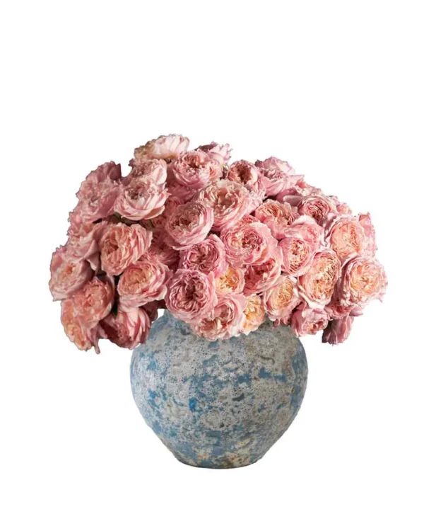 Blooming Julieta