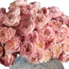 Blooming Julieta Details