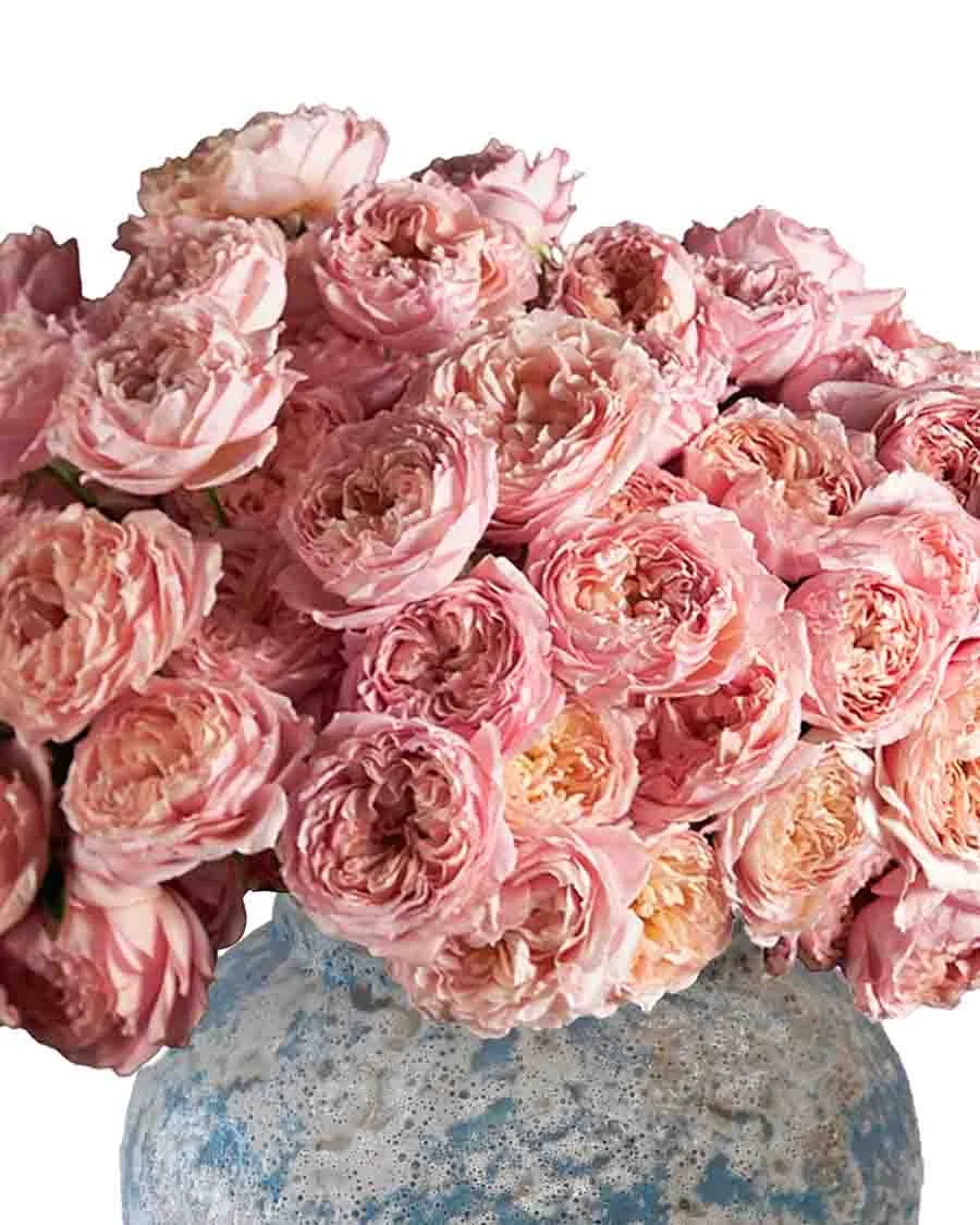 Blooming Julieta Details