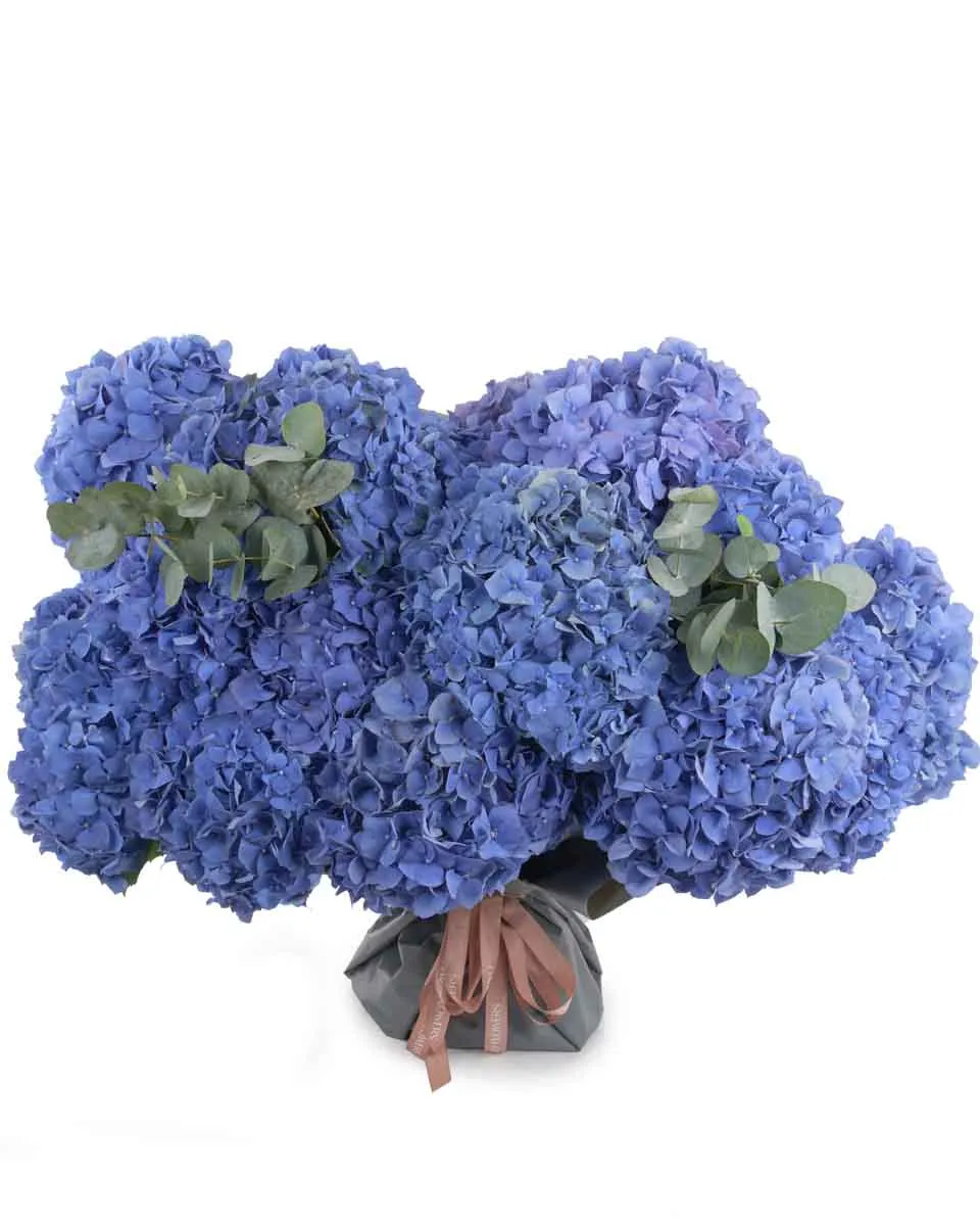 Blue elegance grand Blue elegance grand