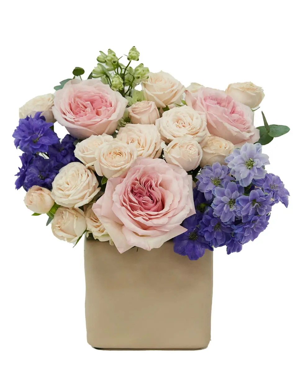 Bubbly Pink 2024 4 Bubbly Pink 2024 4