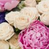 Bubbly Pink 2024 Close