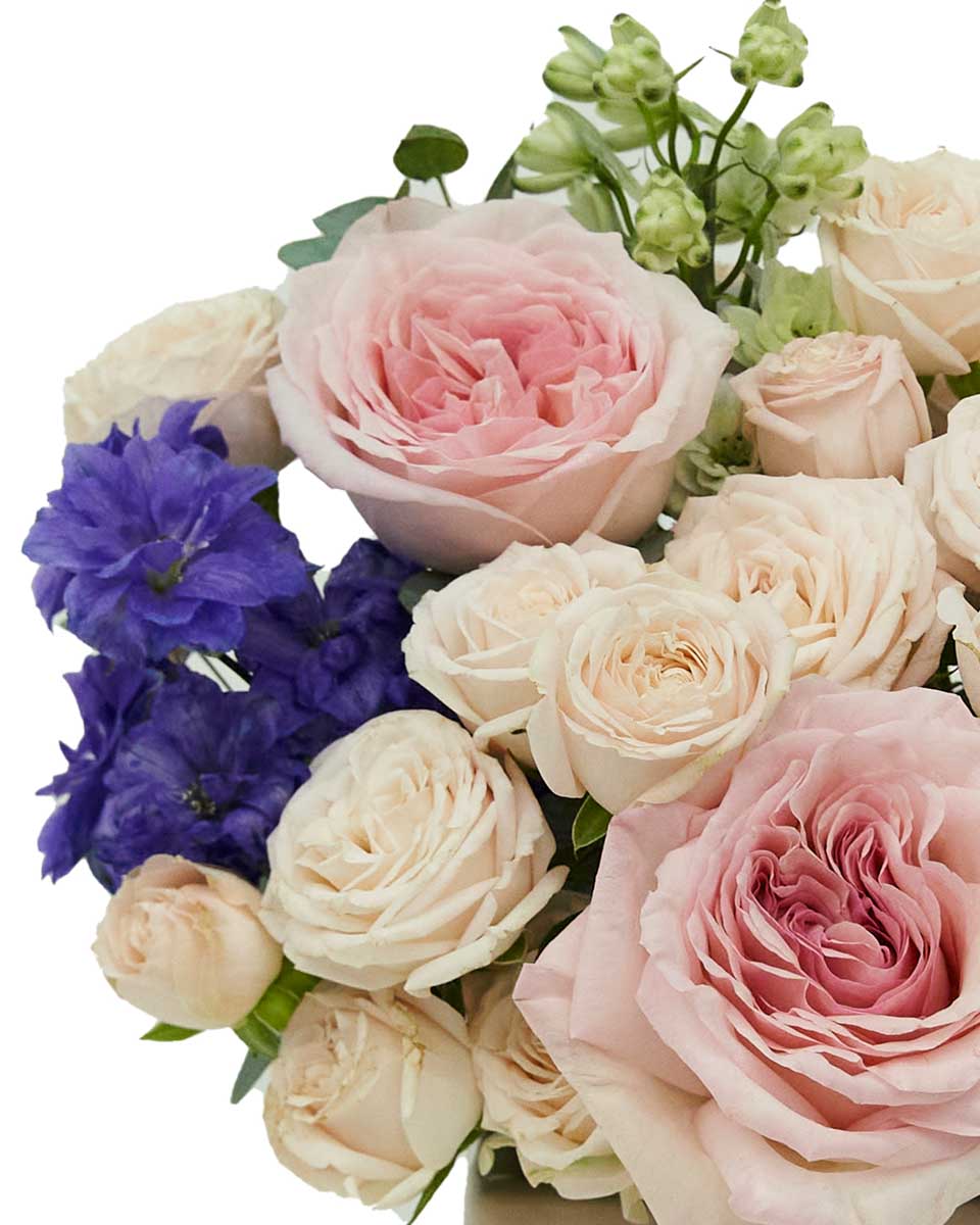 Bubbly Pink 2024 Side Bubbly Pink 2024 Side