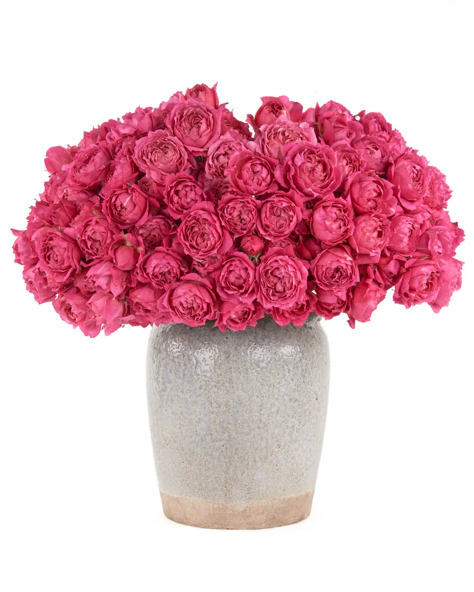 CERISE AFECTION JUNE 2 2023 4 CERISE AFECTION JUNE 2 2023 4
