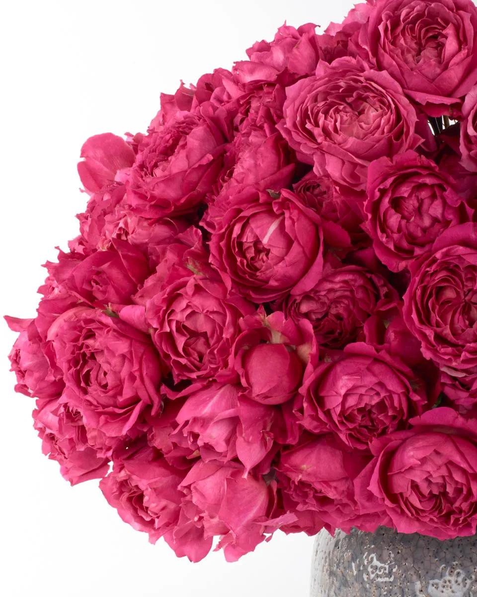 CERISE AFECTION JUNE 2 2023 1 CERISE AFECTION JUNE 2 2023 1