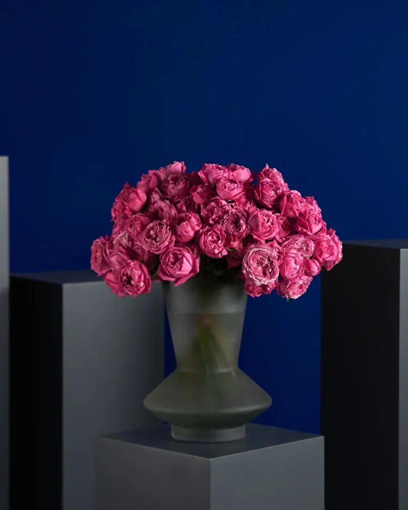 CRAZY FOR CERISE 1