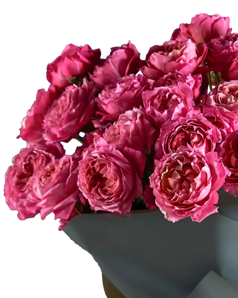 Charisma Impressive Edited2 Charisma Impressive Edited2