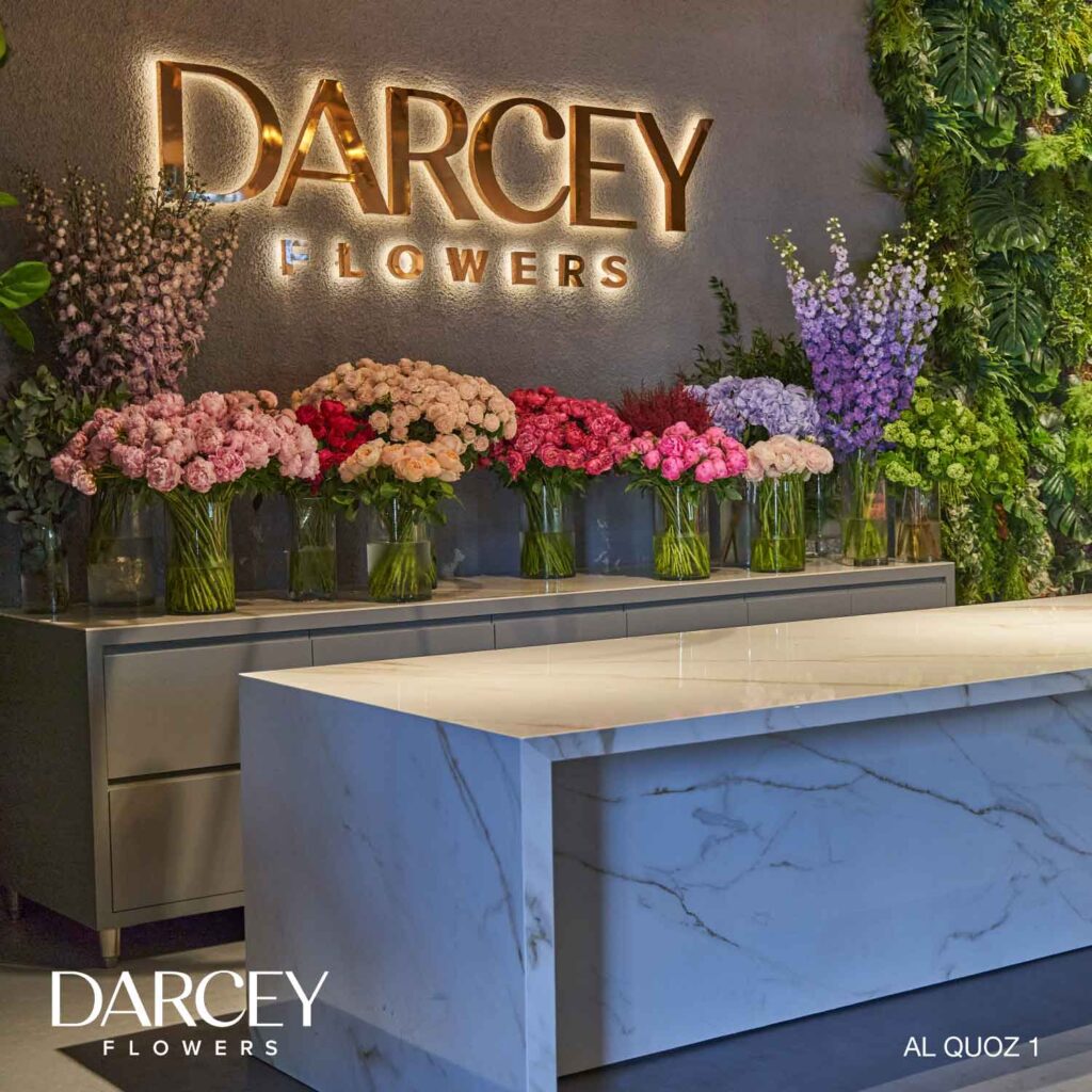 Darcey aq2