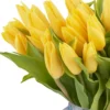 Dazzling Yellow on a Vase DetailsFeb 2026