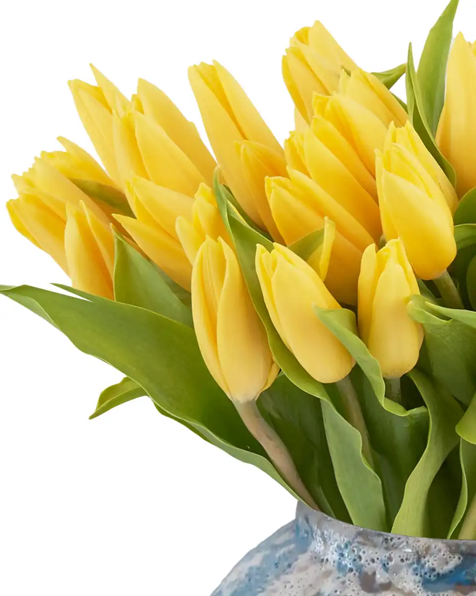 Dazzling Yellow on a Vase DetailsFeb 2026