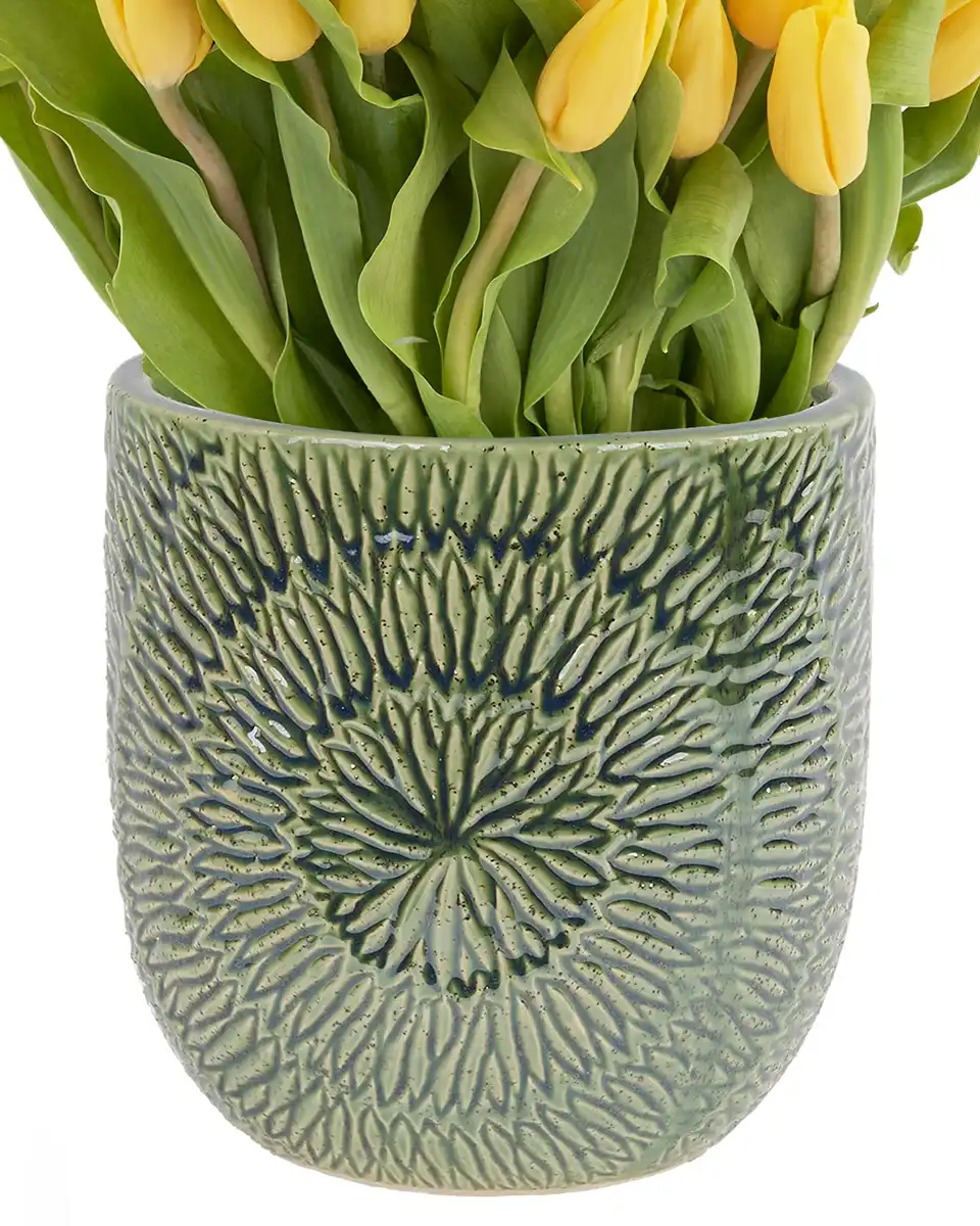 Dazzling Yellow on a Vase Feb 2025 1 Dazzling Yellow on a Vase Feb 2025 1