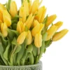 Dazzling Yellow on a Vase Feb 2025 2 Dazzling Yellow on a Vase Feb 2025 2