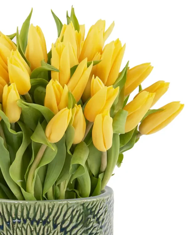 Dazzling Yellow on a Vase Feb 2025 2