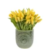 Dazzling Yellow on a Vase Feb 2025 3 Dazzling Yellow on a Vase Feb 2025 3