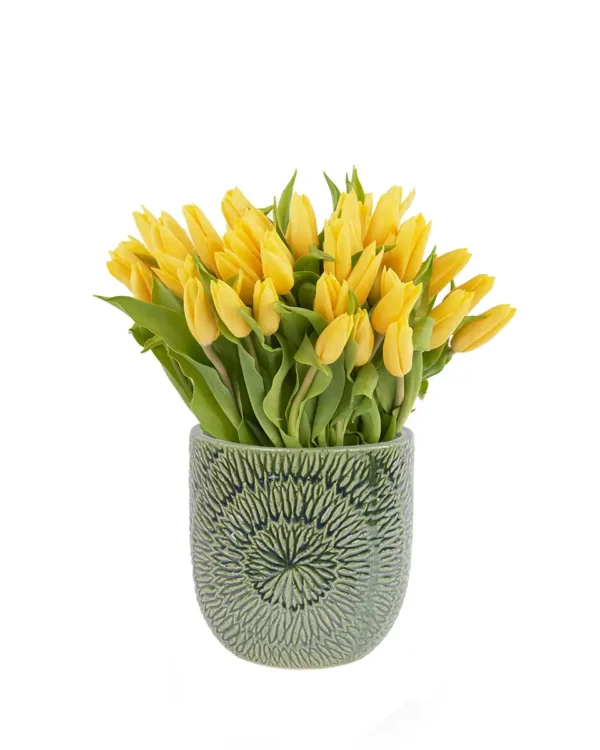 Dazzling Yellow on a Vase Feb 2025 3