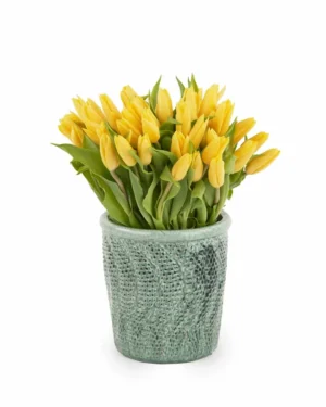 Dazzling Yellow on a Vase JUNE 22 2023 3