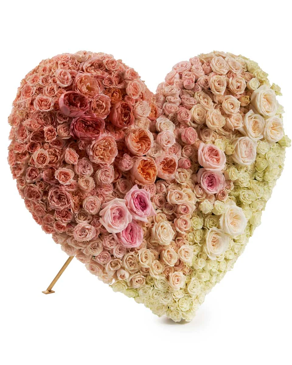 Dear Heart3 Dear Heart3