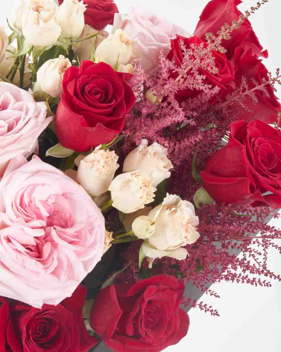 Dear Heart superb JUNE 20 2023 2 Dear Heart superb JUNE 20 2023 2