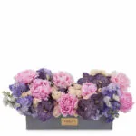 Dreamy Hues JUNE 19 2023