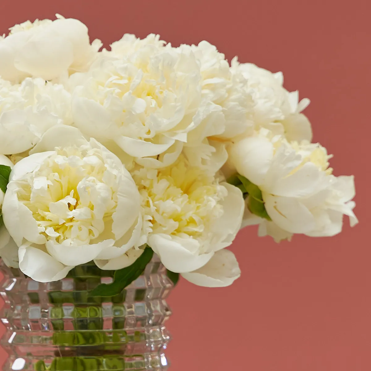 Duchess Love detailed Duchess Love detailed