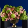 ELEGANT BLOSSOM ELEGANT BLOSSOM