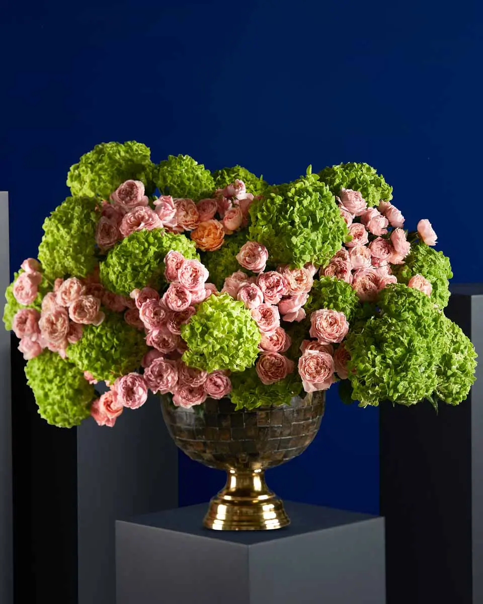 ELEGANT BLOSSOM ELEGANT BLOSSOM