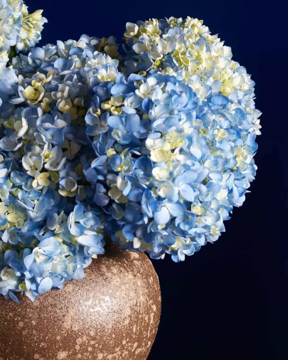 FALL FOR HYDRANGEA BLUE BROWN VASE 2 FALL FOR HYDRANGEA BLUE BROWN VASE 2