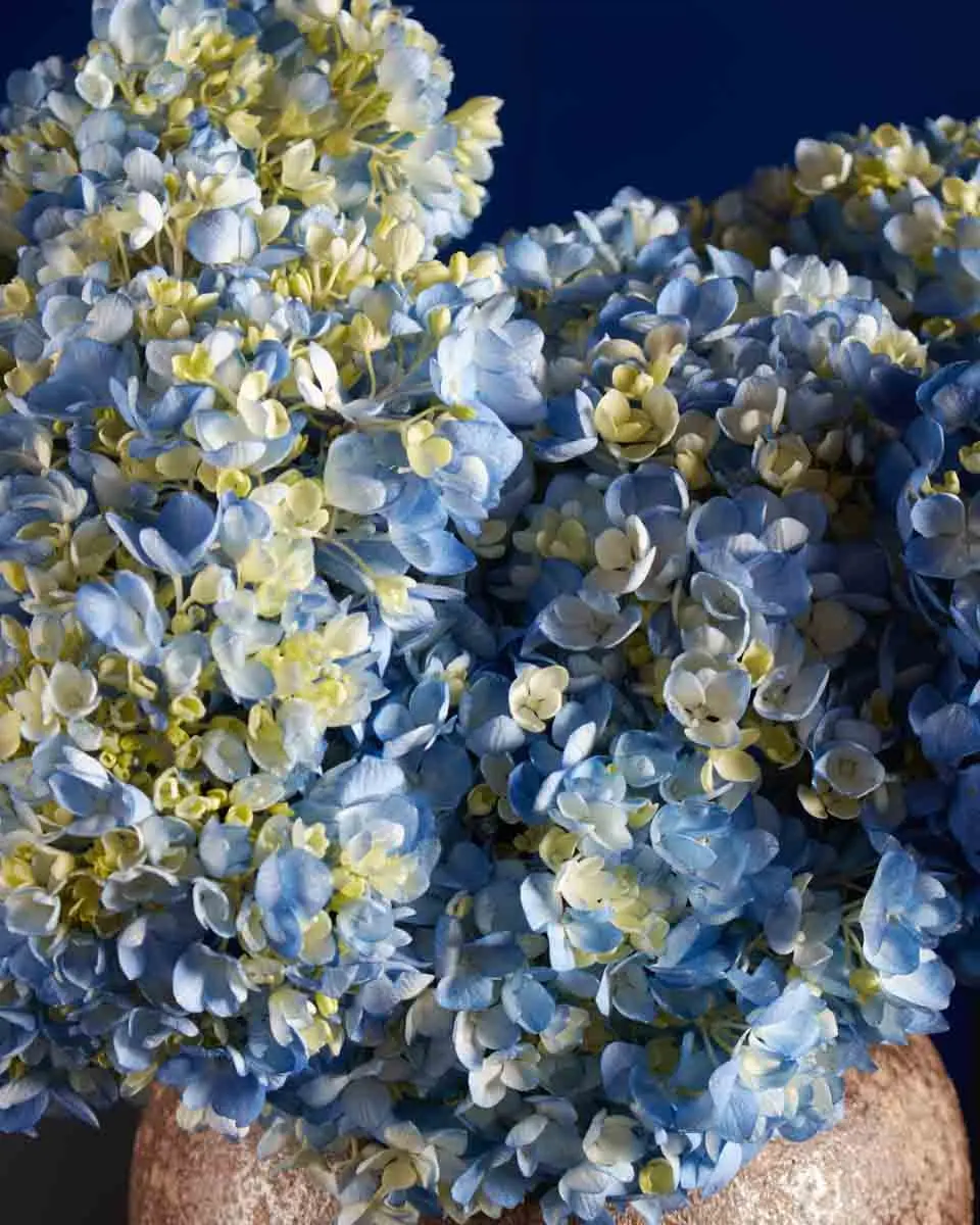 FALL FOR HYDRANGEA BLUE BROWN VASE 3 FALL FOR HYDRANGEA BLUE BROWN VASE 3