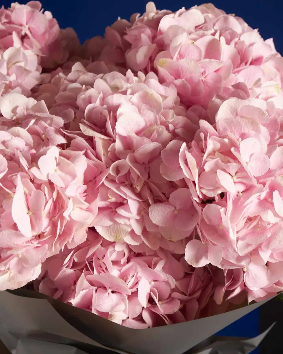 FLUFFY VERENA PINK IMPRESSIVE 2