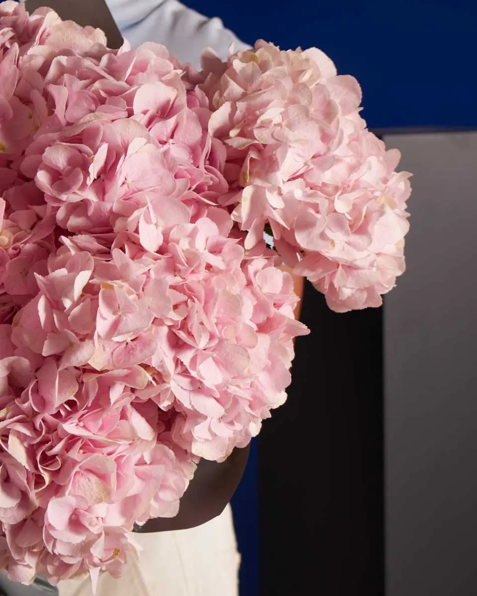 FLUFFY VERENA PINK SUPERB 1 FLUFFY VERENA PINK SUPERB 1