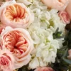 FULL GLOW SUPERB JUNE 9 2023 2 FULL GLOW SUPERB JUNE 9 2023 2