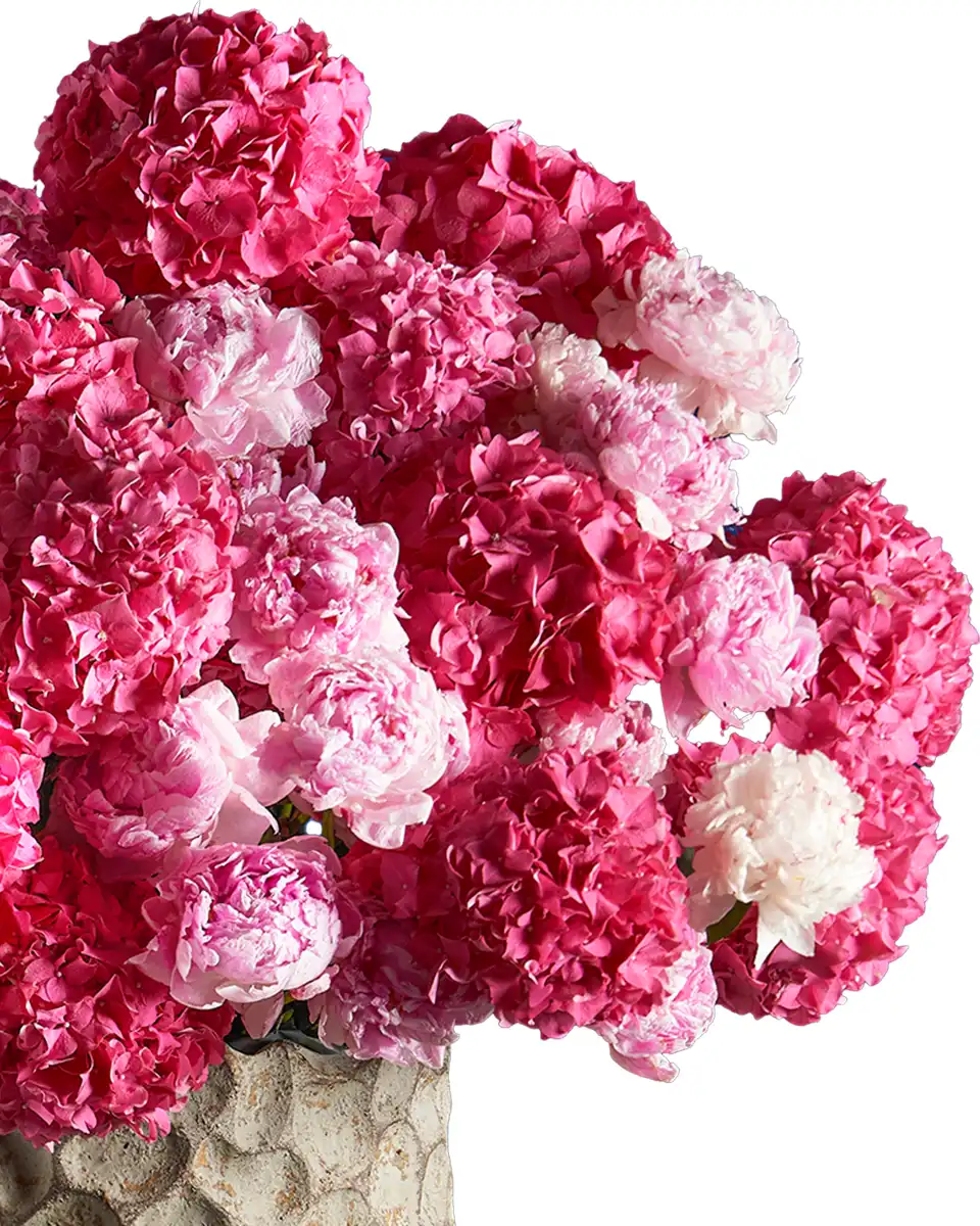 Give Me Love details Give Me Love details