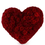 Hearbeat Front Updated