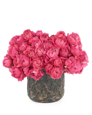 Hello Cerise KISS ME CERISE 17 May 2024