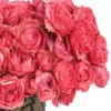 Hello Raspberry Feb 21, 2025 Details Hello Raspberry Feb 21, 2025 Details