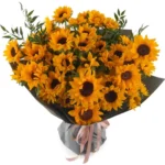 Hello Sunflower GRAND JUNE 9 2023