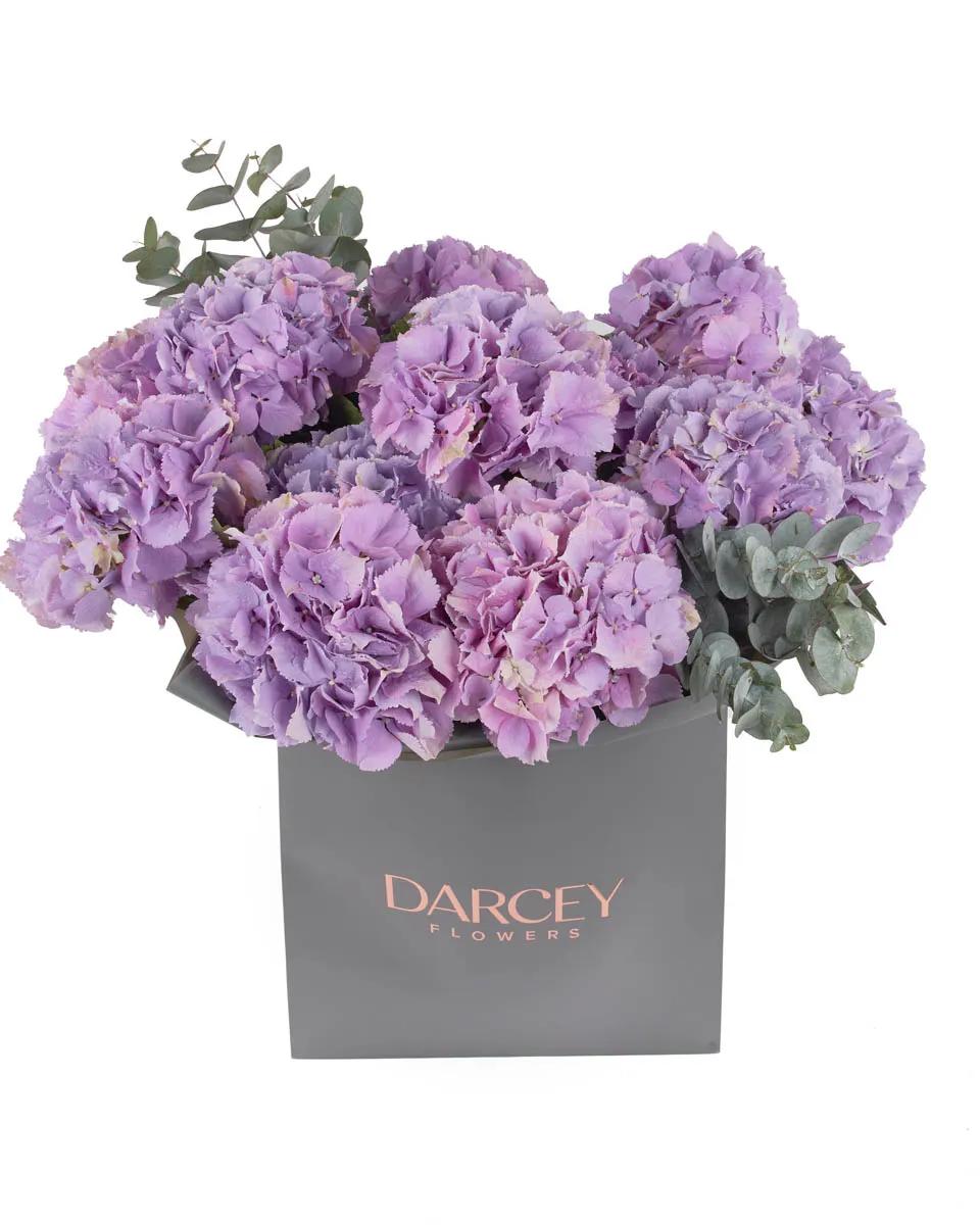 Hydrangea Royal Benefit paper bag JUNE 5 2023 31 Hydrangea Royal Benefit paper bag JUNE 5 2023 31