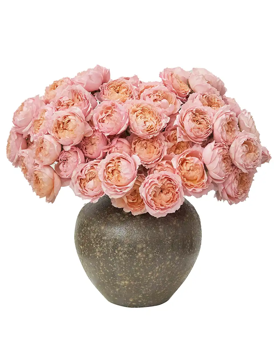 I Love You Baby 2025 I Love You Baby 2025