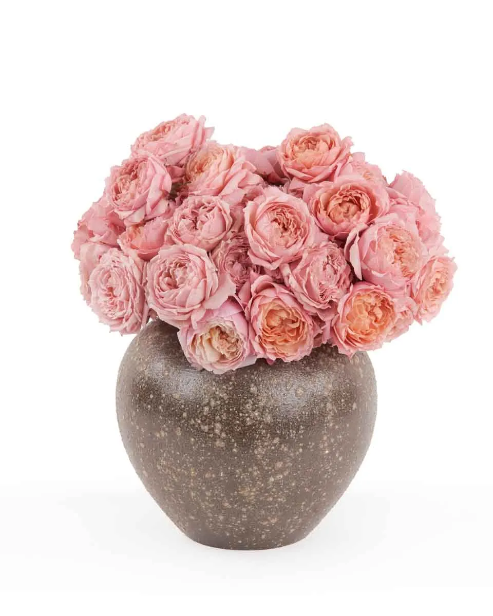 I Love You Baby Salmon to brown vase JUNE 17 2023 I Love You Baby Salmon to brown vase JUNE 17 2023