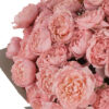 JULIETA HAND TIED Superb 2025 2 JULIETA HAND TIED Superb 2025 2