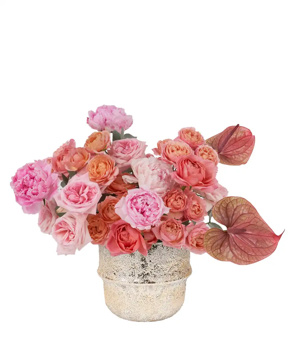 JUST BEAUTIFUL! May 16, 2025