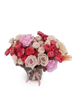 Jamilah impressive JUNE 22 2023