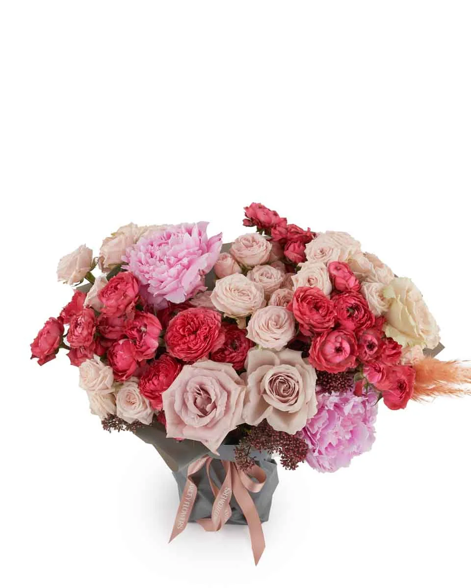 Jamilah impressive JUNE 22 2023 Jamilah impressive JUNE 22 2023