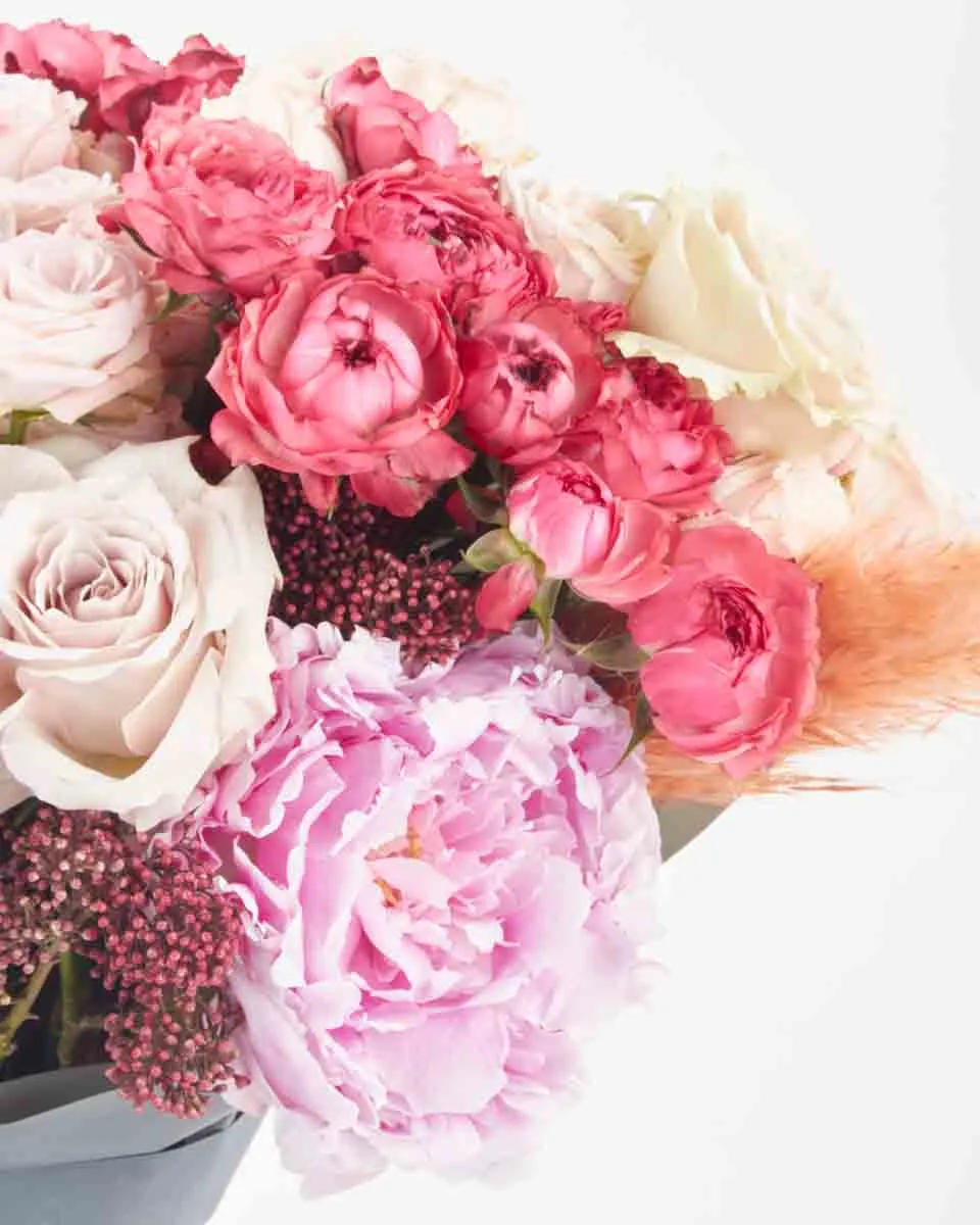 Jamilah impressive JUNE 22 2023 Jamilah impressive JUNE 22 2023